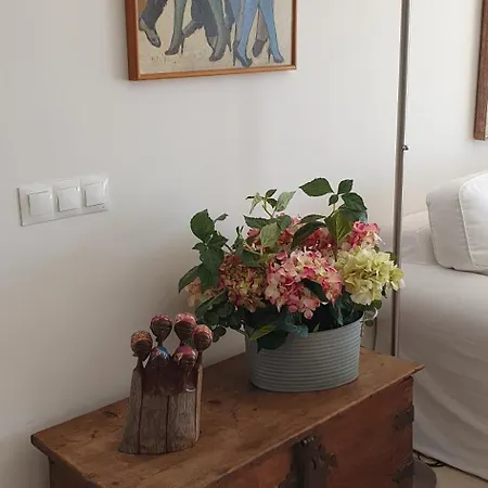 아파트 Costalita Seaview *