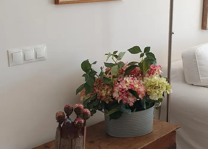 Appartamento Costalita Seaview *